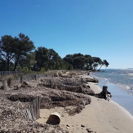 De La Couleur Aux Marquises *