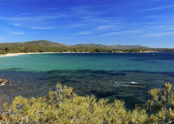 De La Couleur Aux Marquises Lejlighed La Londe-les-Maures